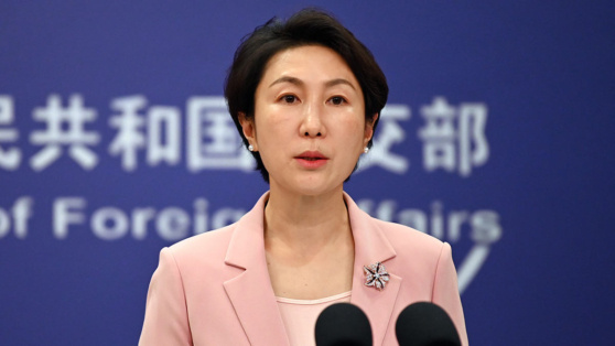    США нанесли себе ущерб развязанной торговой войной, заявили в МИД Китая ©Johannes Neudecker / dpa / Global Look Press