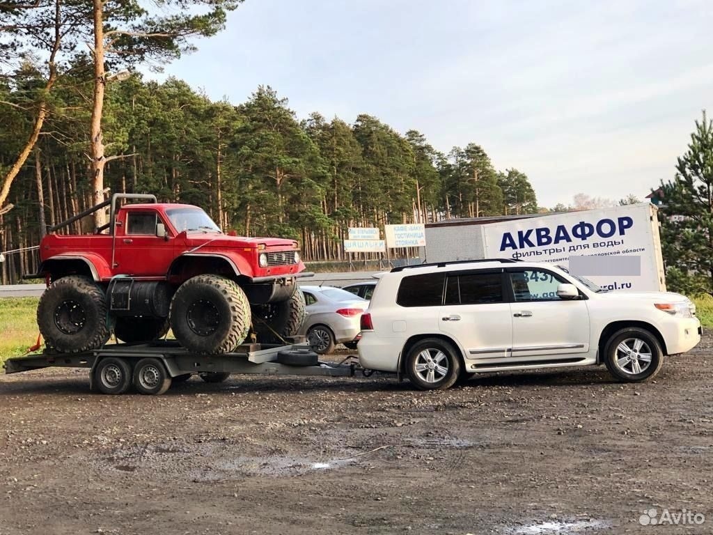 Фото avito.ru  📷
