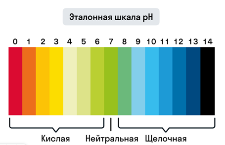 Примерно в 2019 году начинается бум онихолизиса, аллергических реакций и химических ожогов ногтей. Виной тому стали каучуковые базы, которыми мастера начали делать не просто выравнивание, а чуть ли не наращивание. И, поскольку, чтобы держать большую длину, по правилам архитектуры и законам физики и толщина нужна побольше, мастера стали выкладывать «золотые» горы на ногтях. Такое пренебрежение к технологии нанесения базового покрытия стало первопричиной серьезных проблем со здоровьем ногтей клиентов.