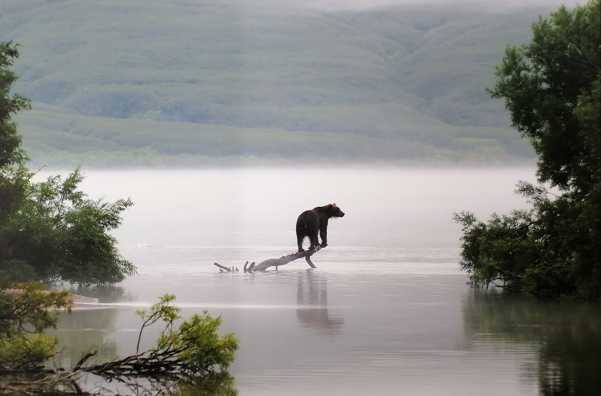 Геннадий Юсин. УТРО ТУМАННОЕ (Курильское озеро, Камчатка)