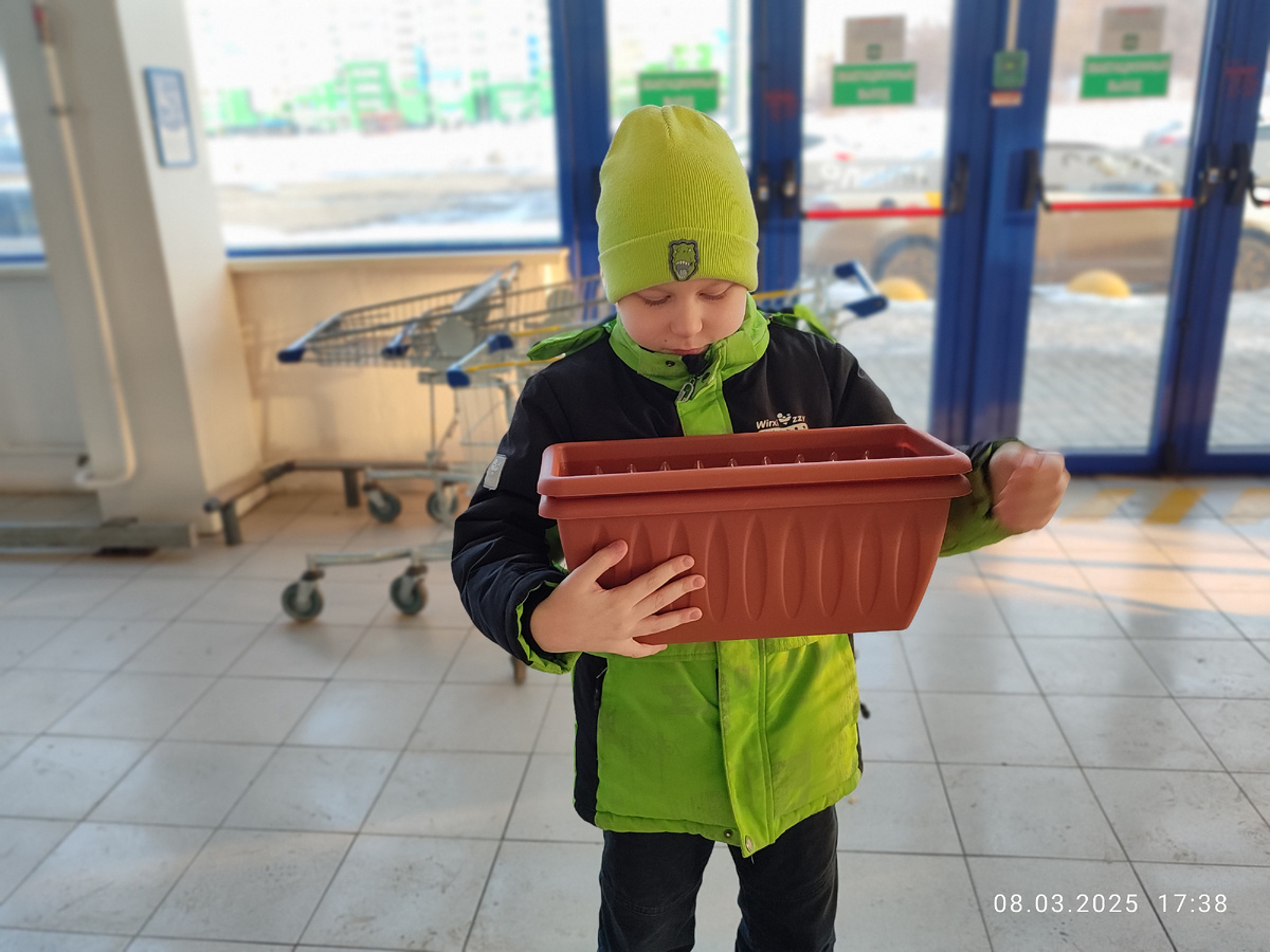 Паша купил себе ящики для рассады