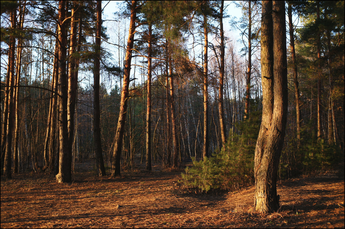 Здесь 2 фотографии, не пропустите, листайте >>> 