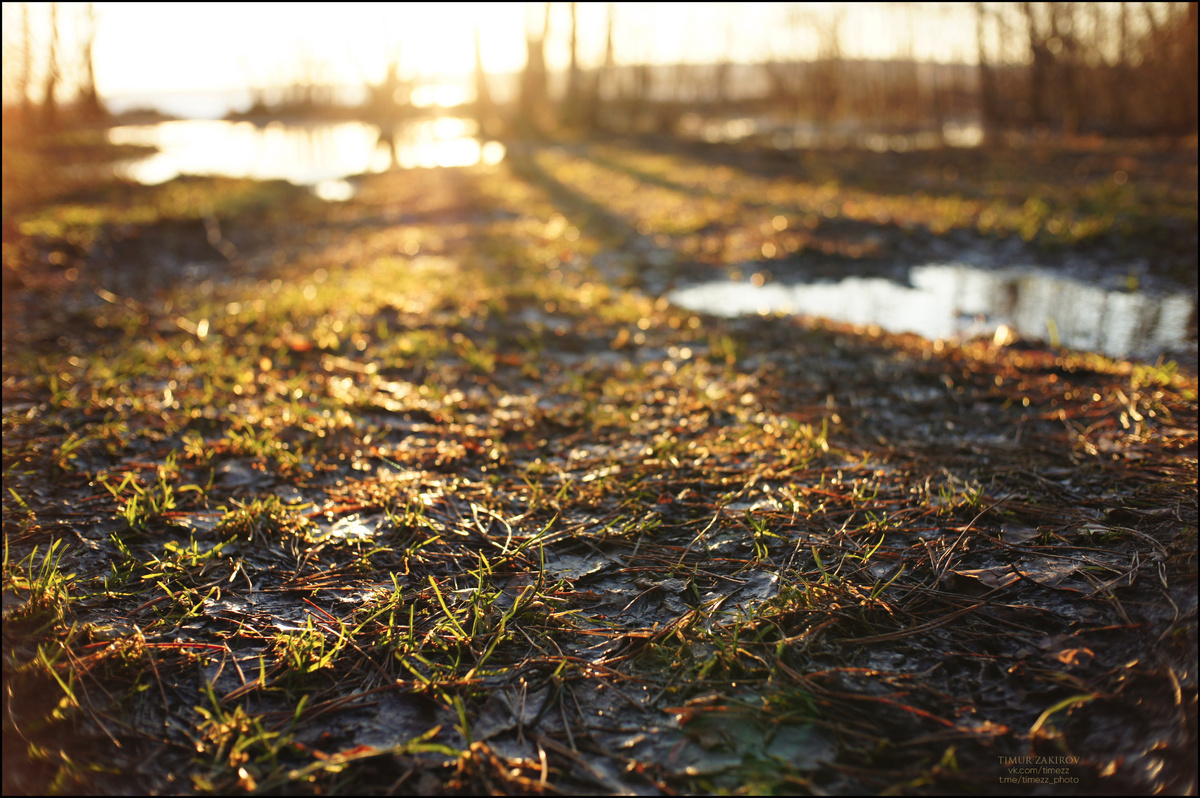 Здесь 3 фотографии, не пропустите, листайте >>> 