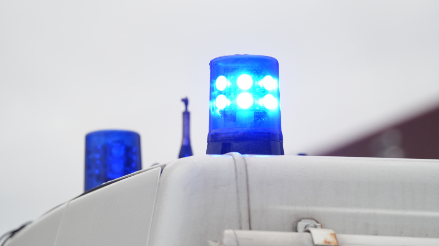    Фото: ИЗВЕСТИЯ/Эдуард Корниенко; 5-tv.ru