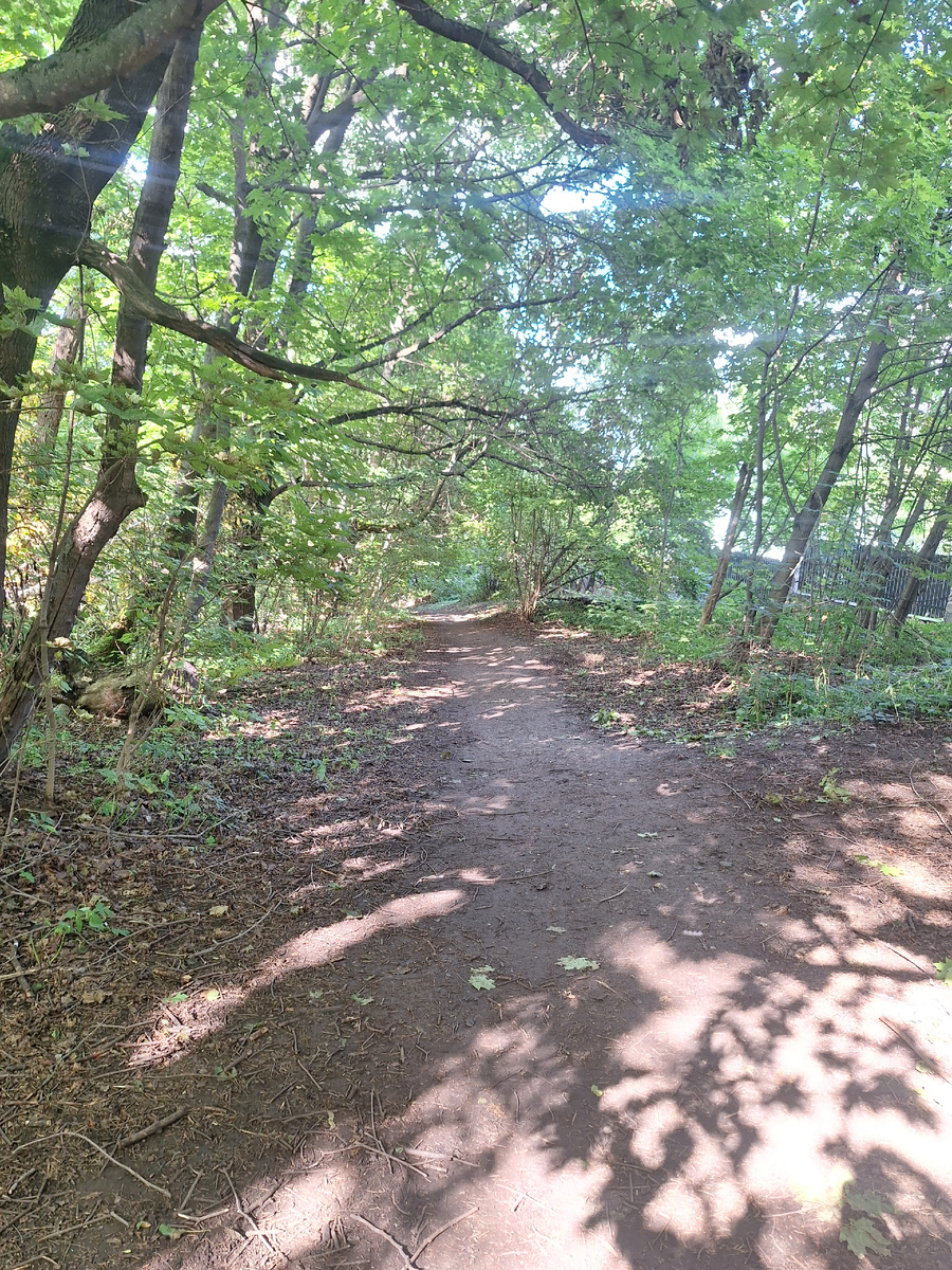 Из личного архива