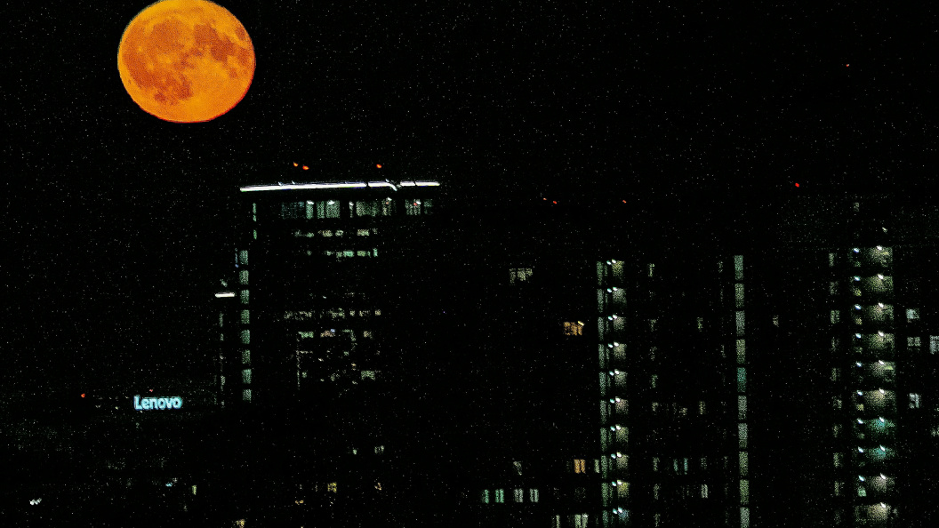    © Roman Denisov/Globallookpress