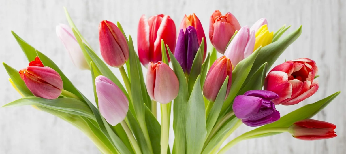 Яндекс.Картинки