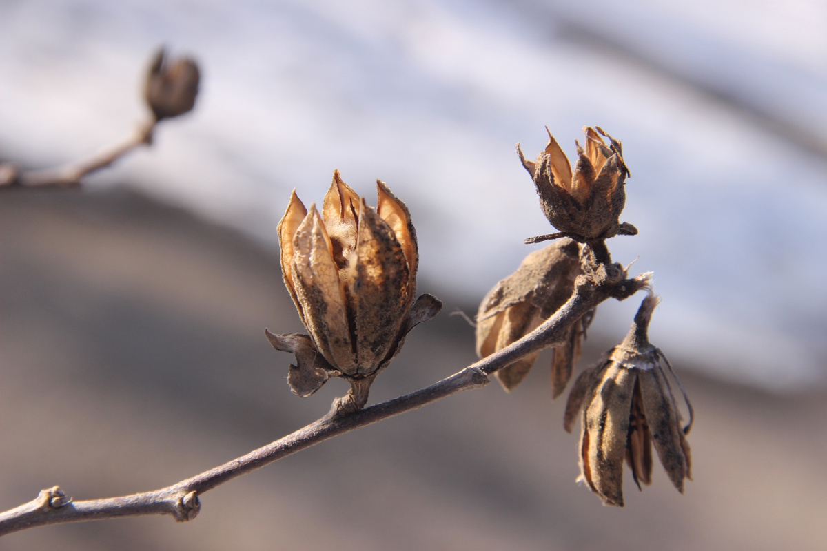 Фото: Юлия Сушко