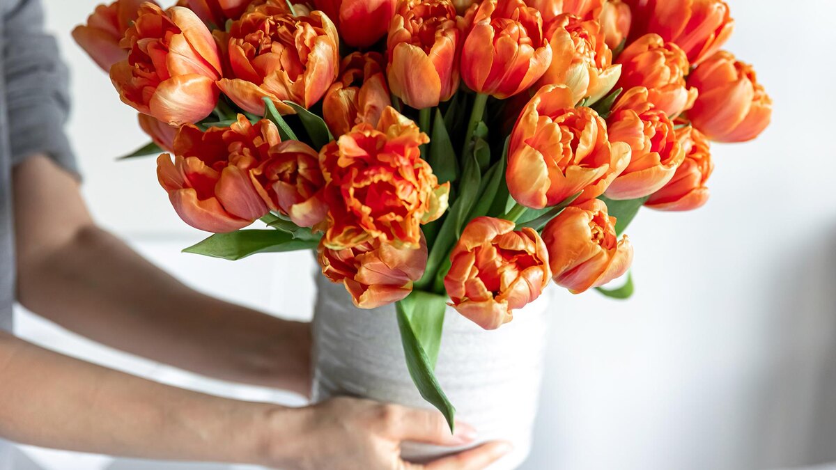 Фото: freepik.com