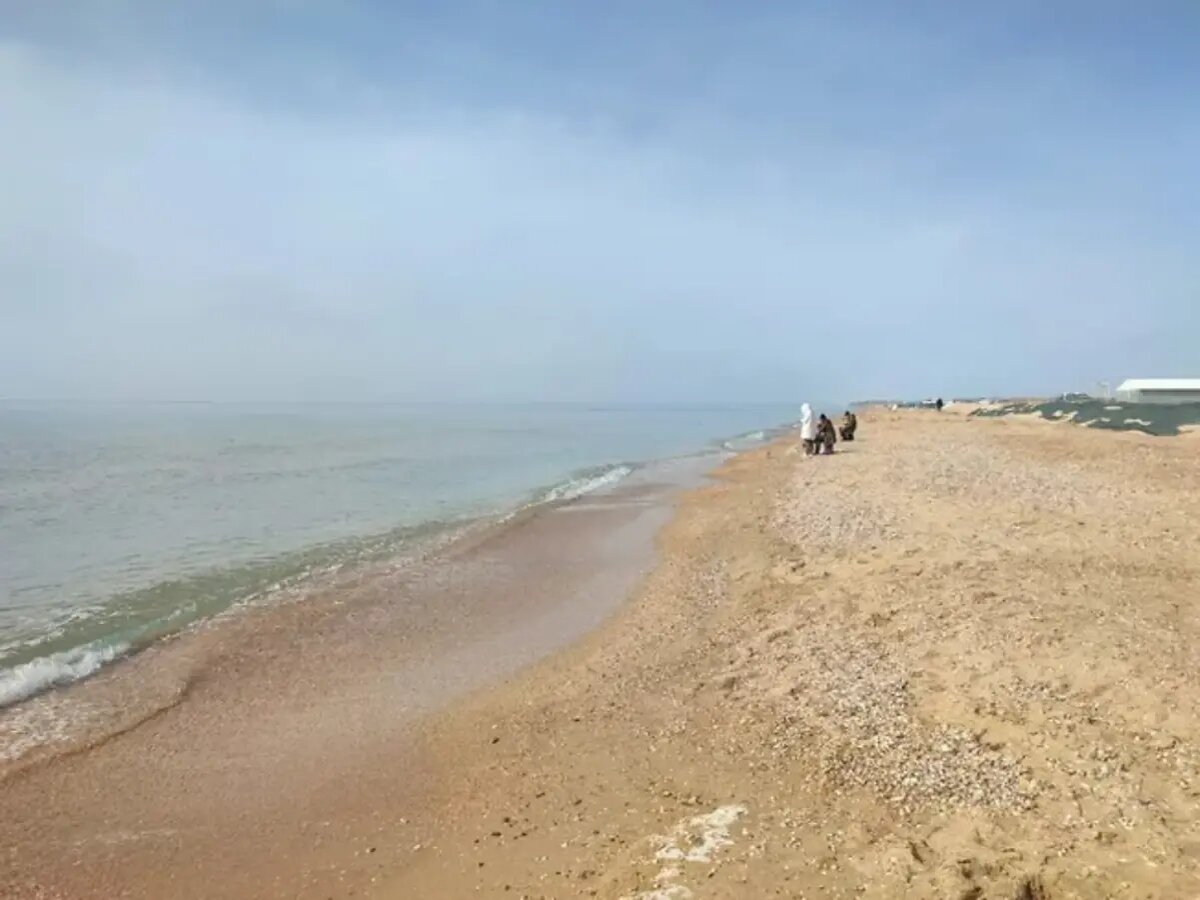 Фото: www.atorus.ru