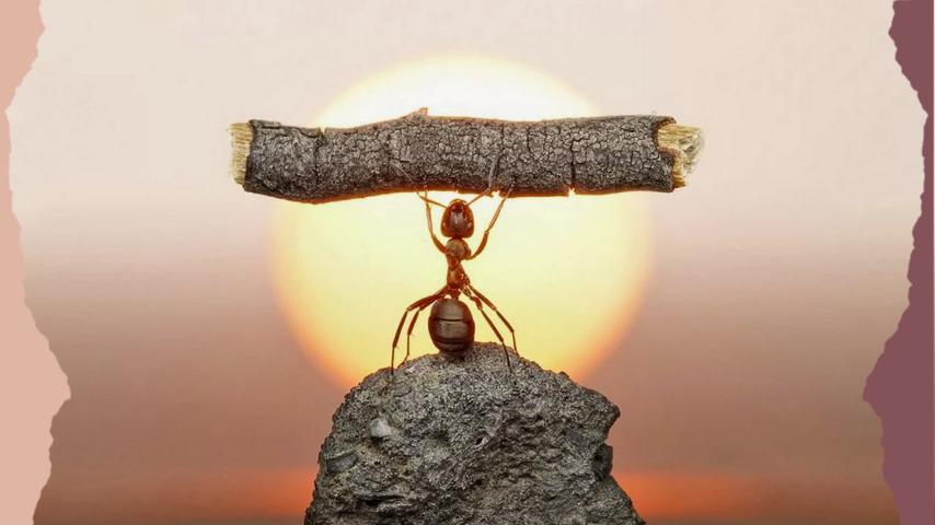 Как сохранить ресурс, чтобы по силам была даже, казалось бы, самая невыполнимая задача? Что вы об этом думаете? Поделитесь своими мыслями в комментариях. 