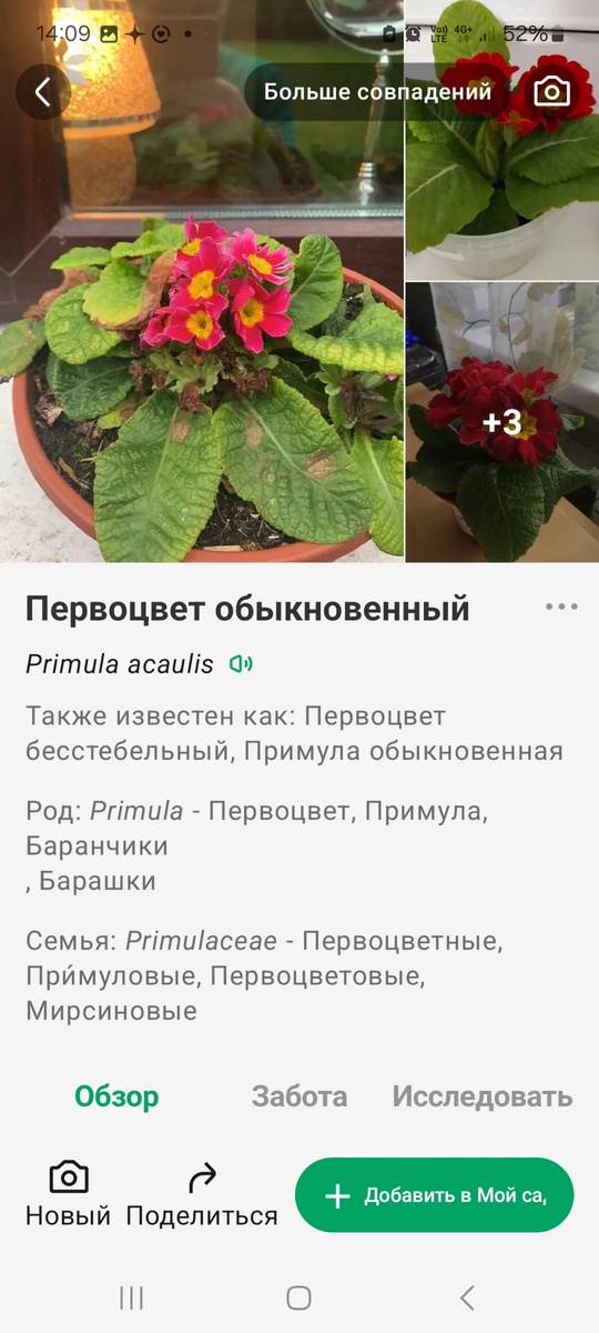 Информация оттуда же.