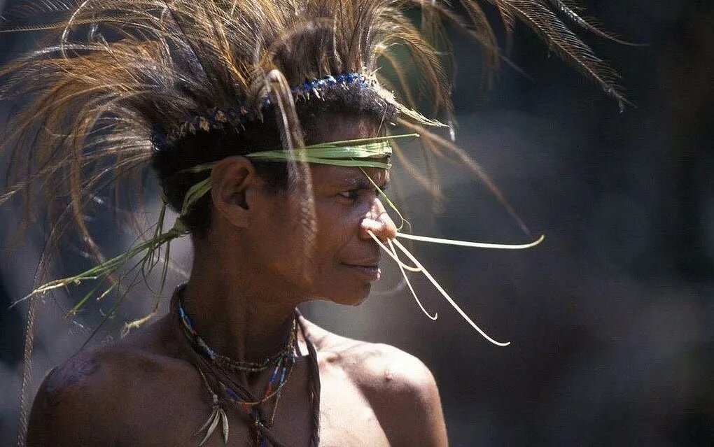 Папуас из племени короваи.