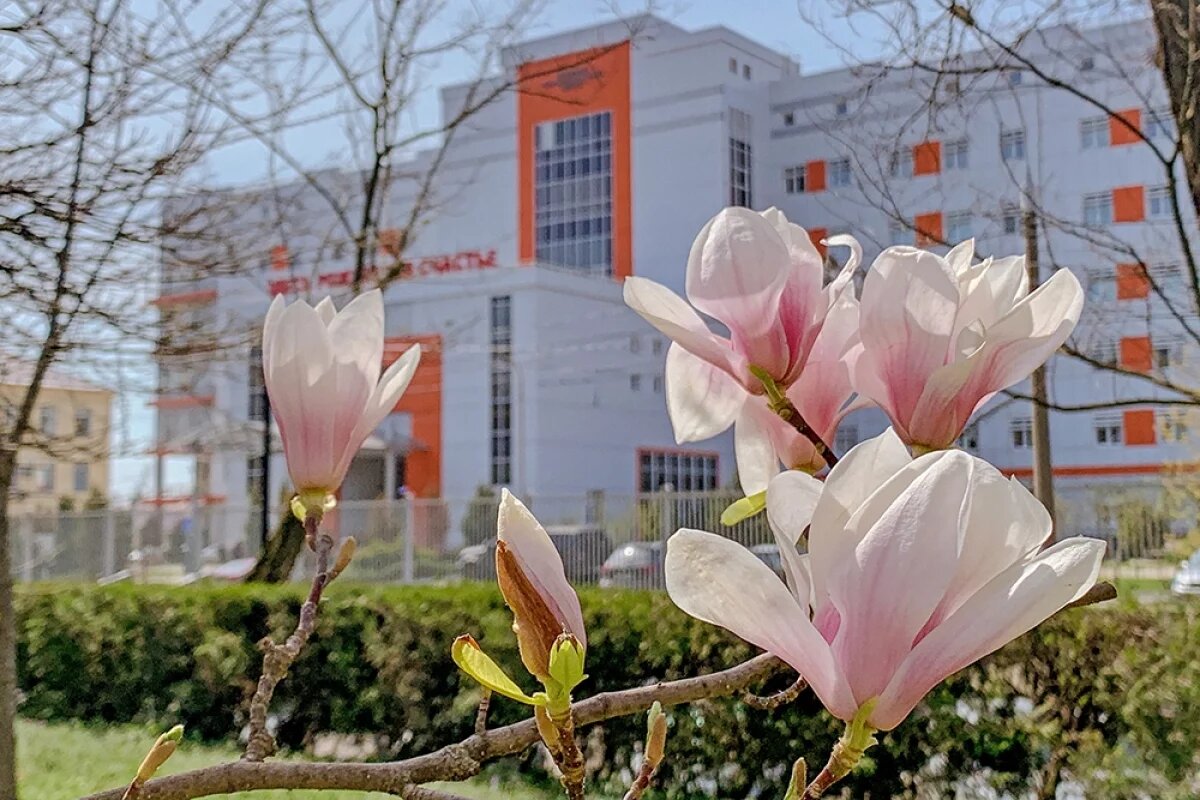    Юрий Ткаченко: резкое потепление в марте на Кубани сменится похолоданием