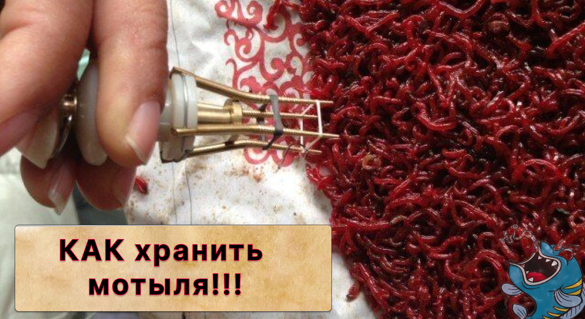 хранить мотыля
