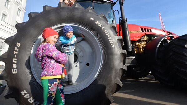    © Sputnik / Виктор Толочко