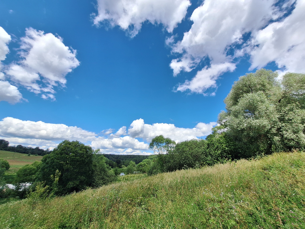 Личный архив