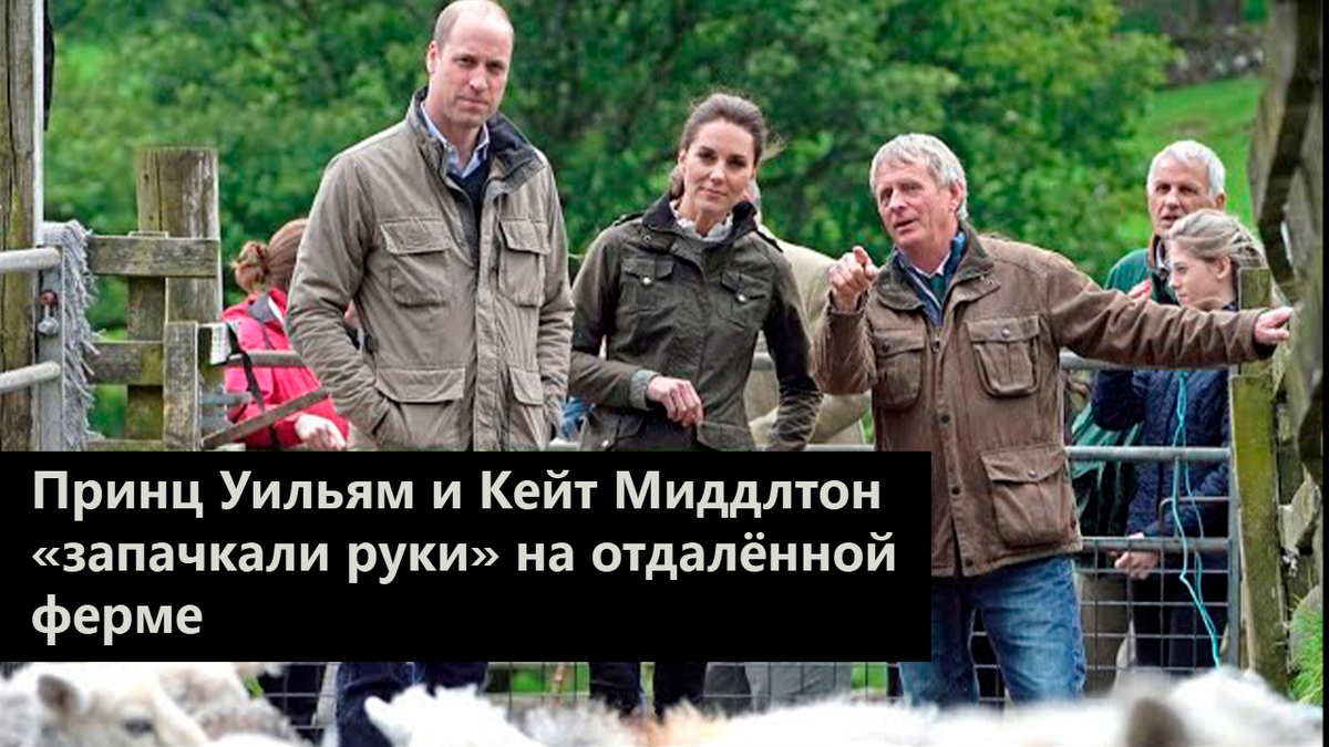 Принц Уильям и Кейт Миддлтон «запачкали руки» на отдалённой ферме