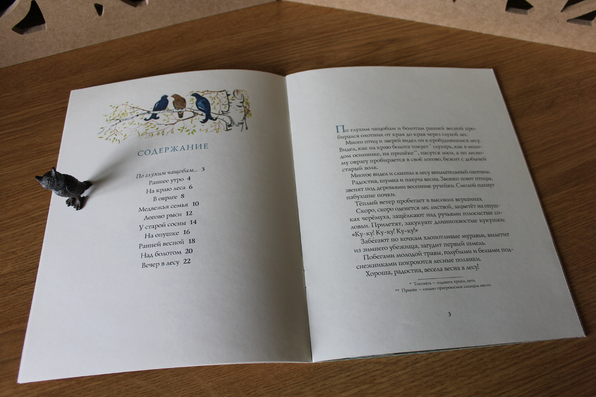 И. С. Соколов-Микитов "Весна в лесу", издательство "Речь", 2016 год. Фото автора статьи. 