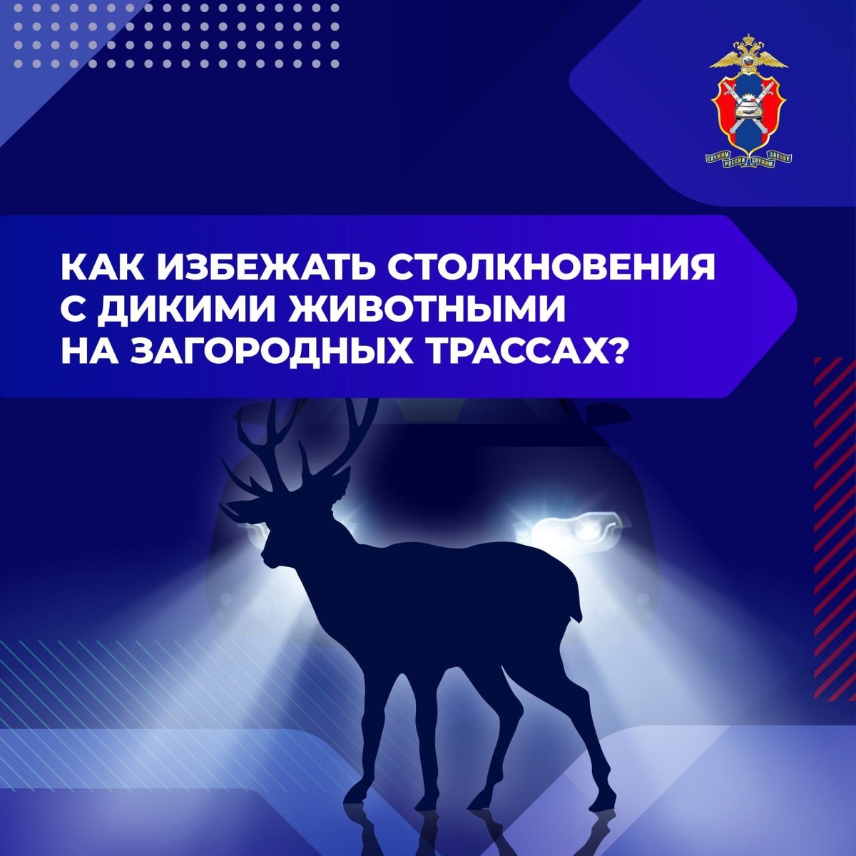 Автор: Первый Тульский. Карточки - ГИБДД Тульской области