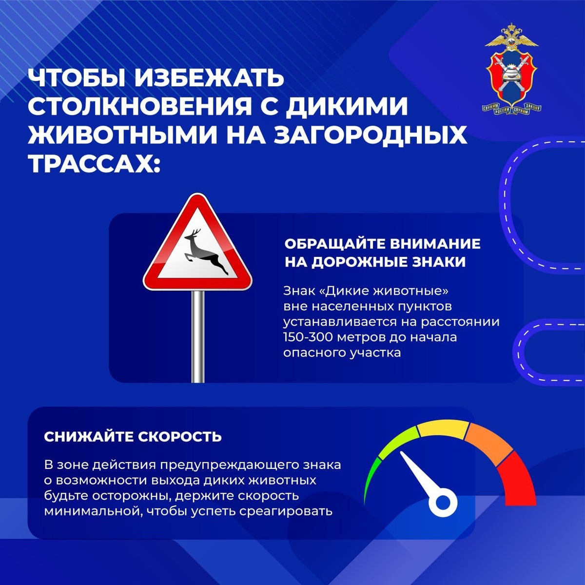 Автор: Первый Тульский. Карточки - ГИБДД Тульской области