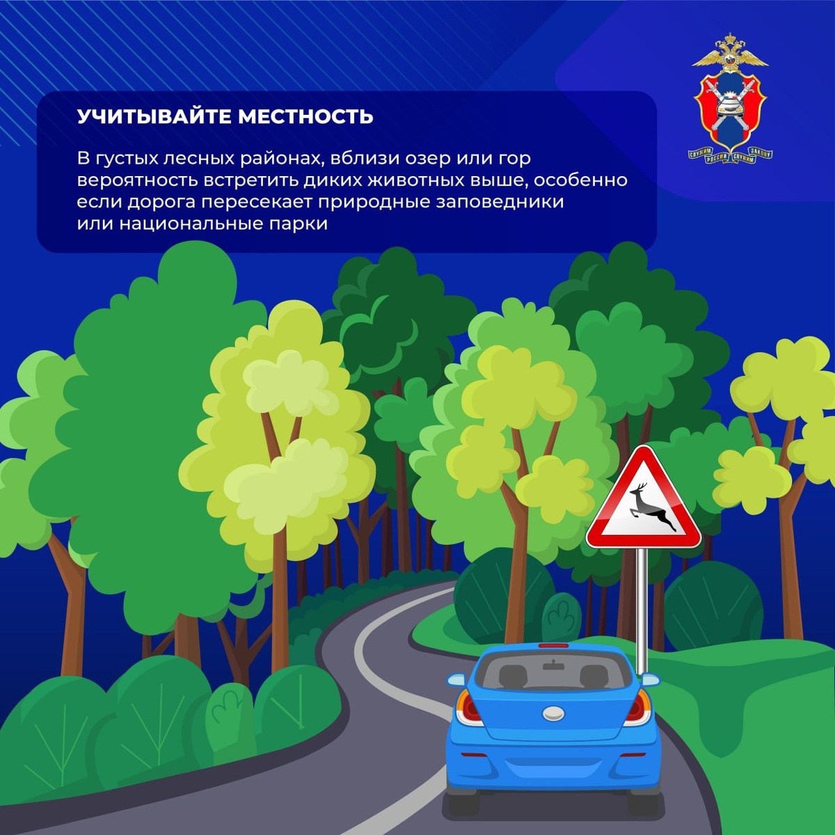 Автор: Первый Тульский. Карточки - ГИБДД Тульской области