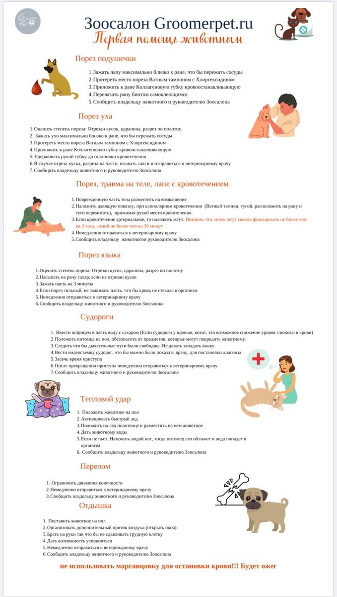 Наш вариант напоминалки о первой помощи питомцам