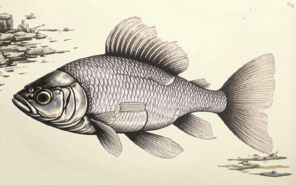    Токаревская птицефабрика заплатила за замор рыбы в Тамбовской области Иллюстрация: нейросеть «Кандинский»