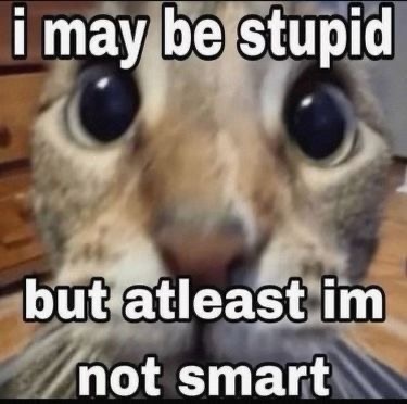 “Может я и глупенький, но по крайней мере не умный”