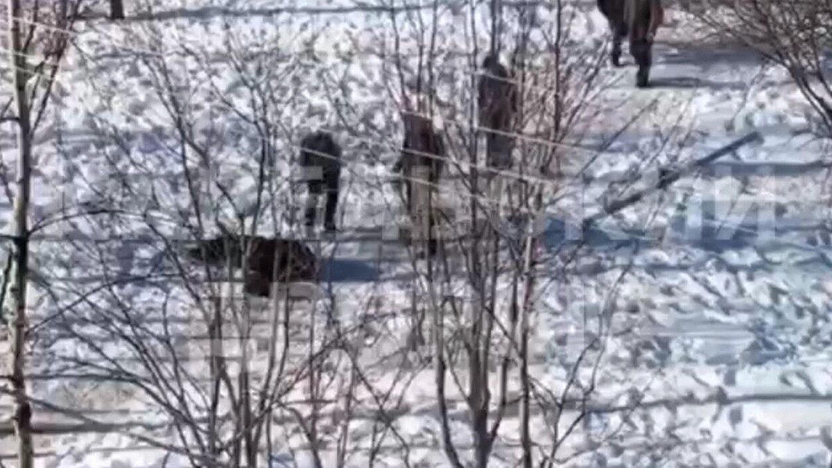     Источник: скриншот видеозаписи