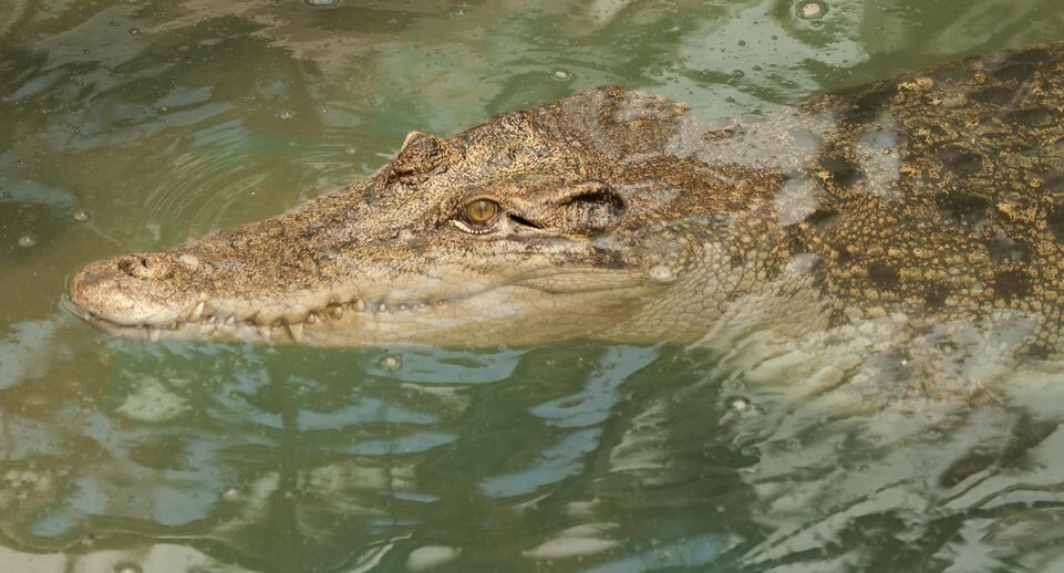    Aleksey Smyshlyaev/Global Look Press / www.globallookpress.com