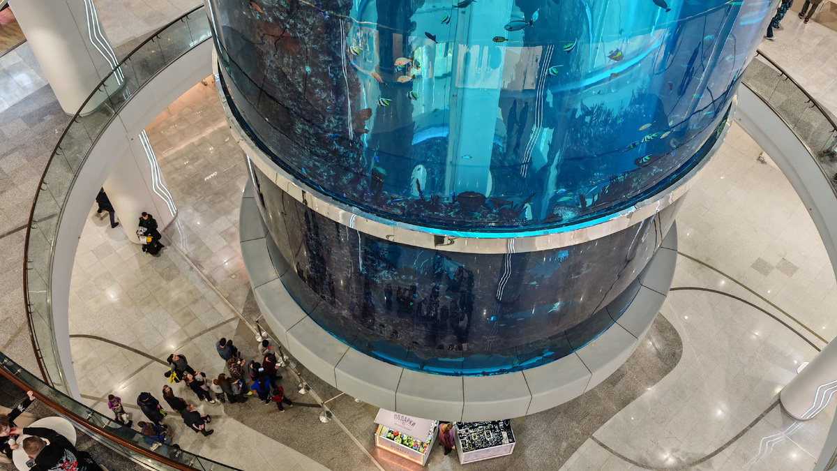 Внизу вход в лифт и очередь из желающих попасть внутрь.