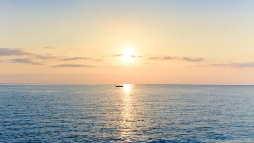    Mit Kapevski/shutterstock.com