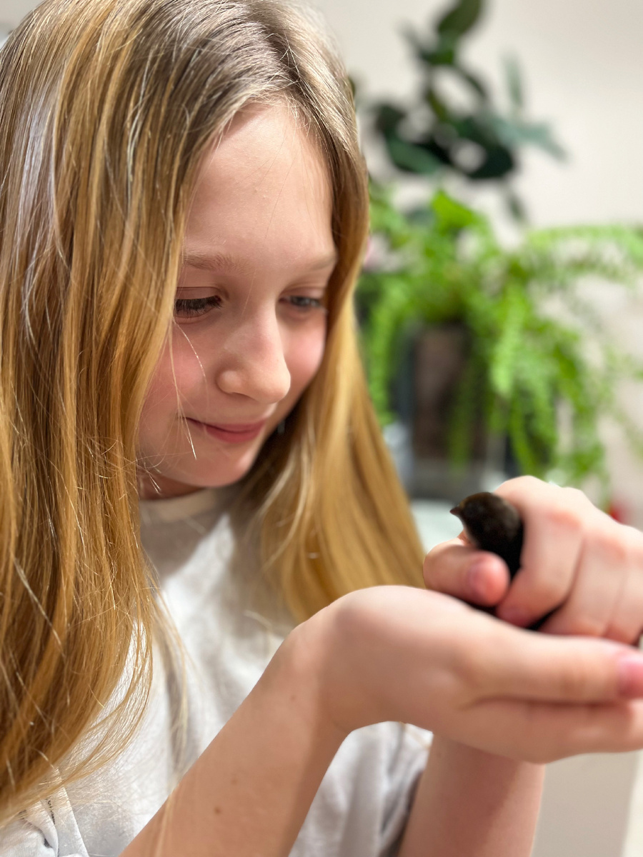 Нелли и селадон