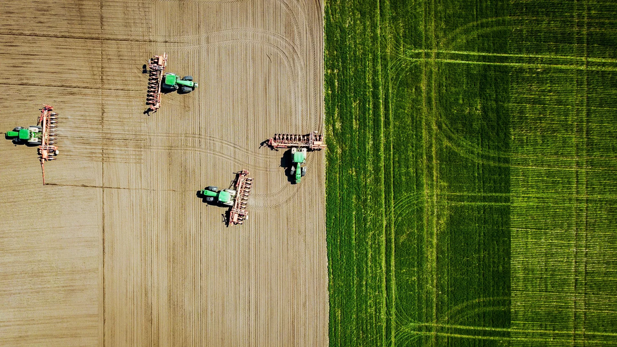 © photo: Sputnik / Vitaly Timkiv