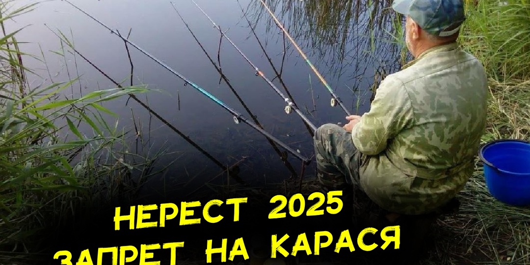 Нерест 2025. Карася и леща на Волге запретили ловить. Нерестовый запрет в Астрахани