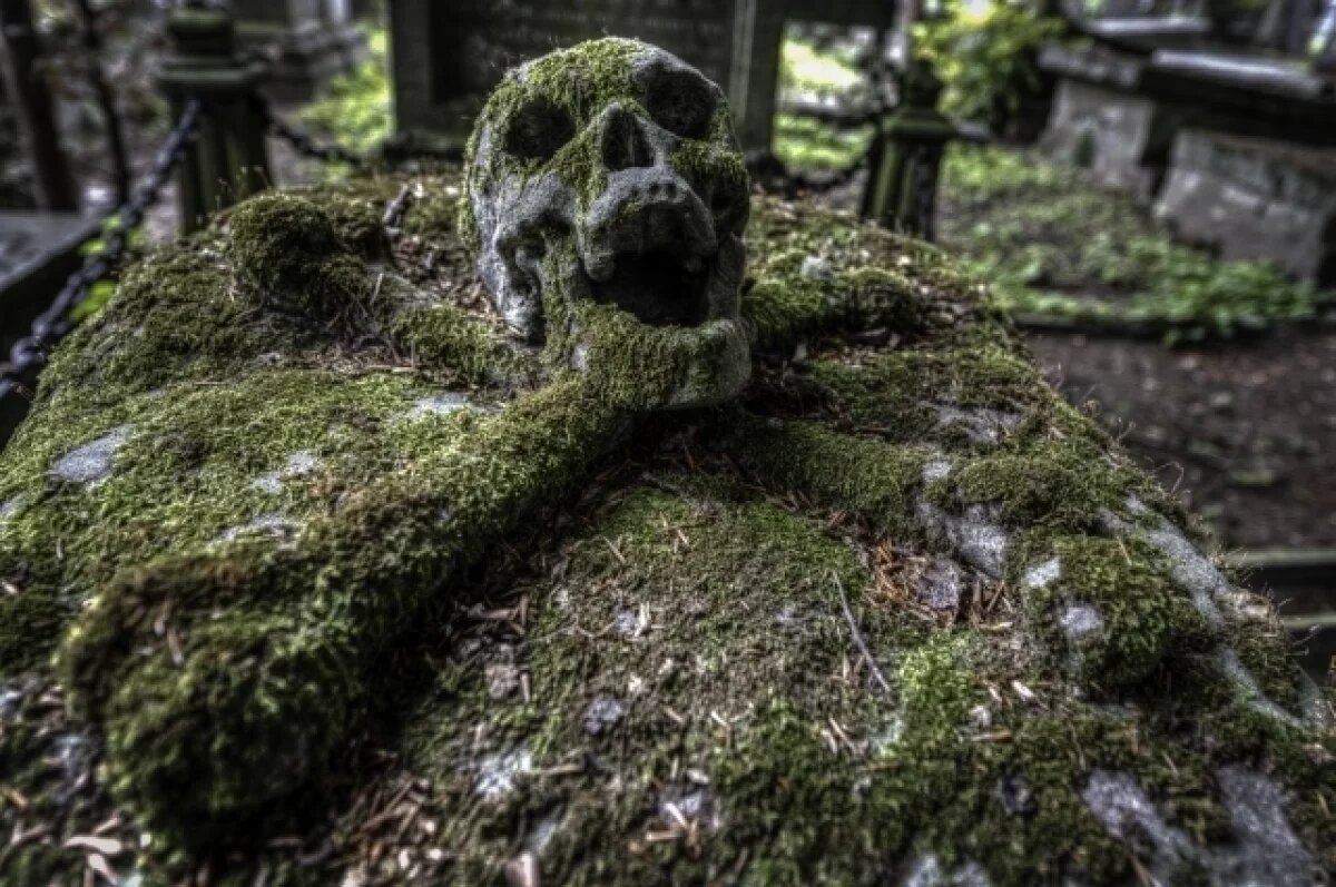    Житель посёлка в Ленобласти обнаружил человеческие останки на участке