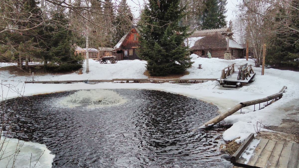 Турбаза "Деревня викингов" (Эстония)