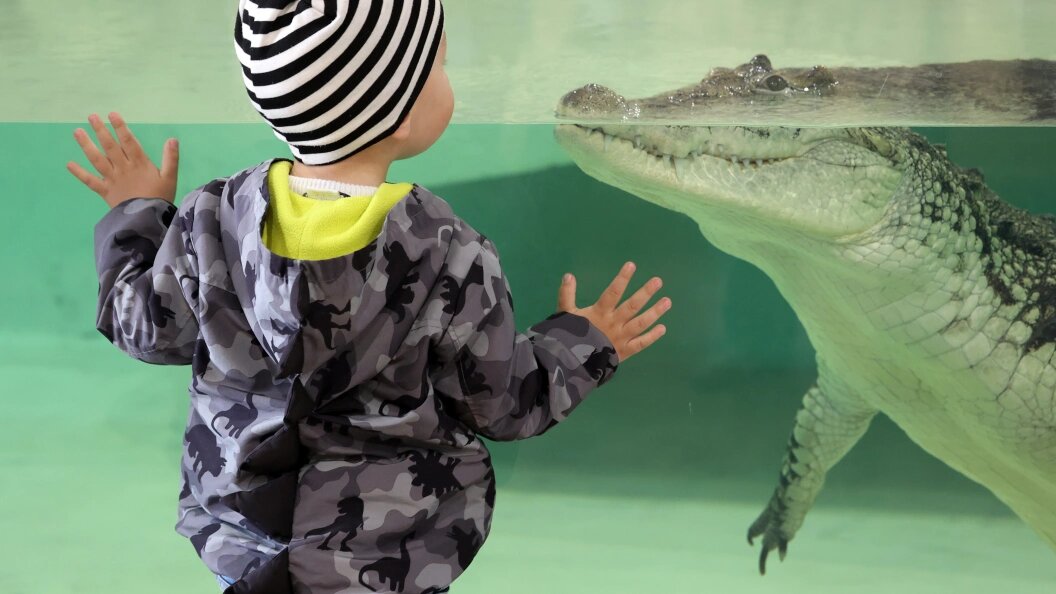    Фото: Vyacheslav Madiyevskyy/Globallookpress