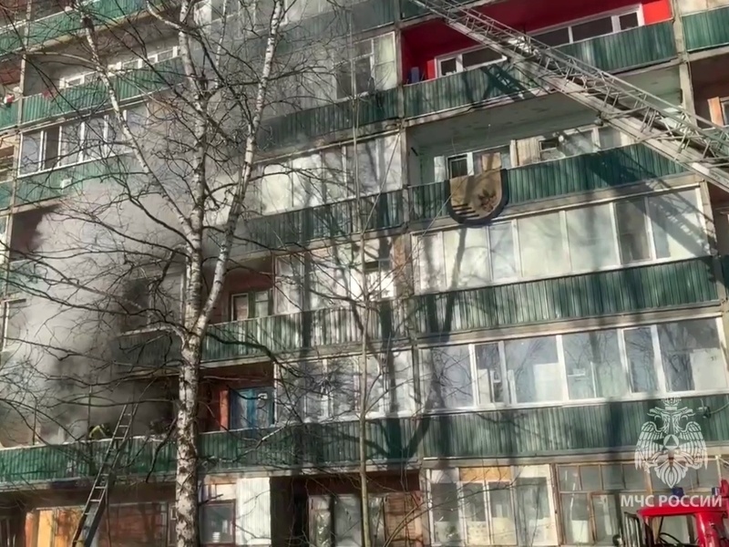    Фото: кадр из видео в Telegram-канале ГУ МЧС России по Пензенской области