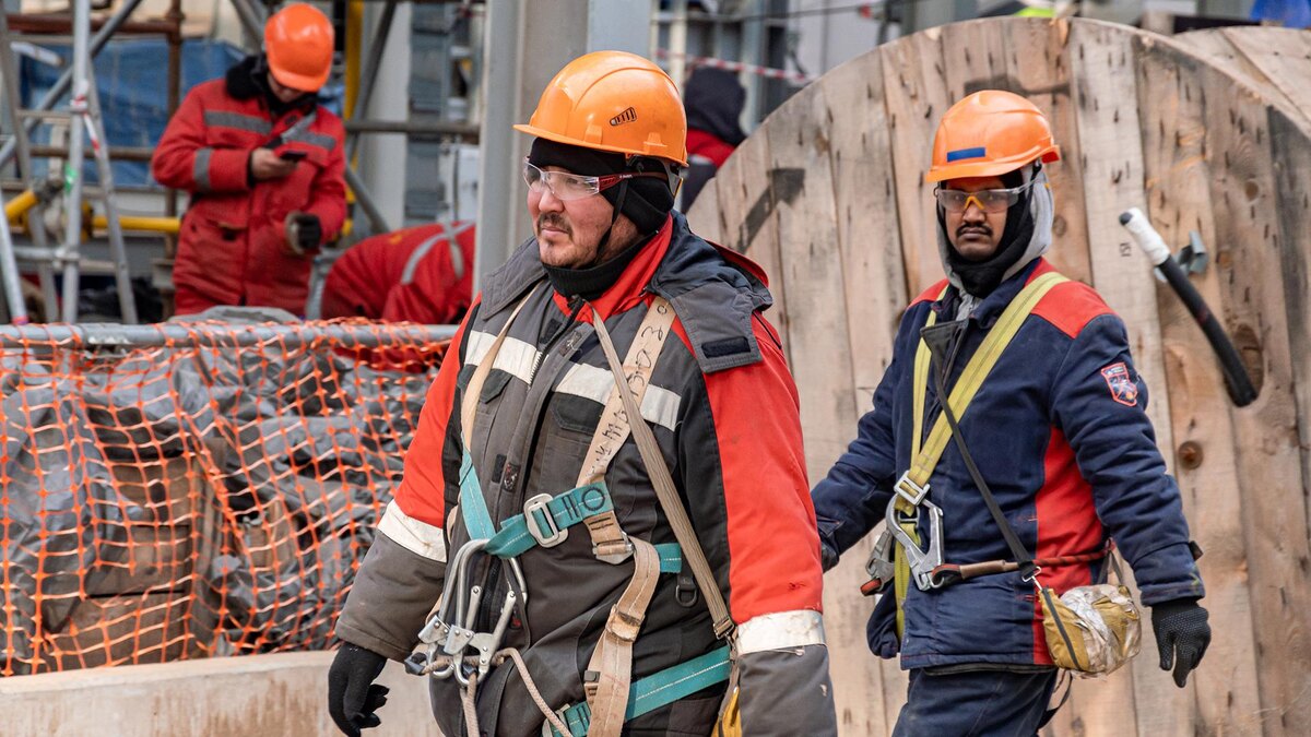    Фото: Oleg Spiridonov/globallookpress.com