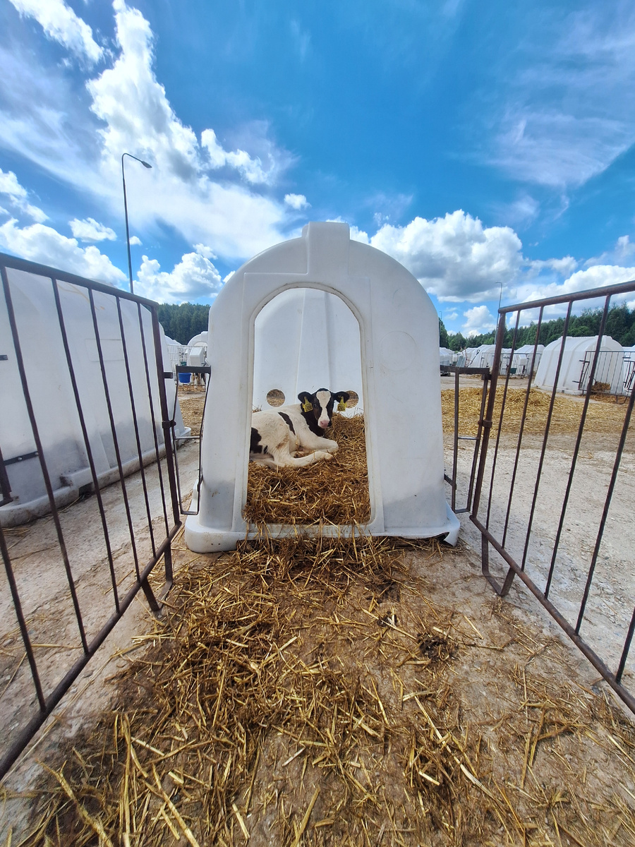 Личный архив