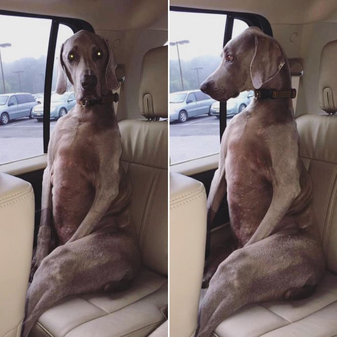 Фото: a.d-cd.net