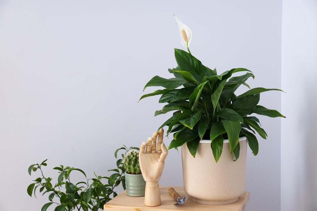 Designed by Freepik