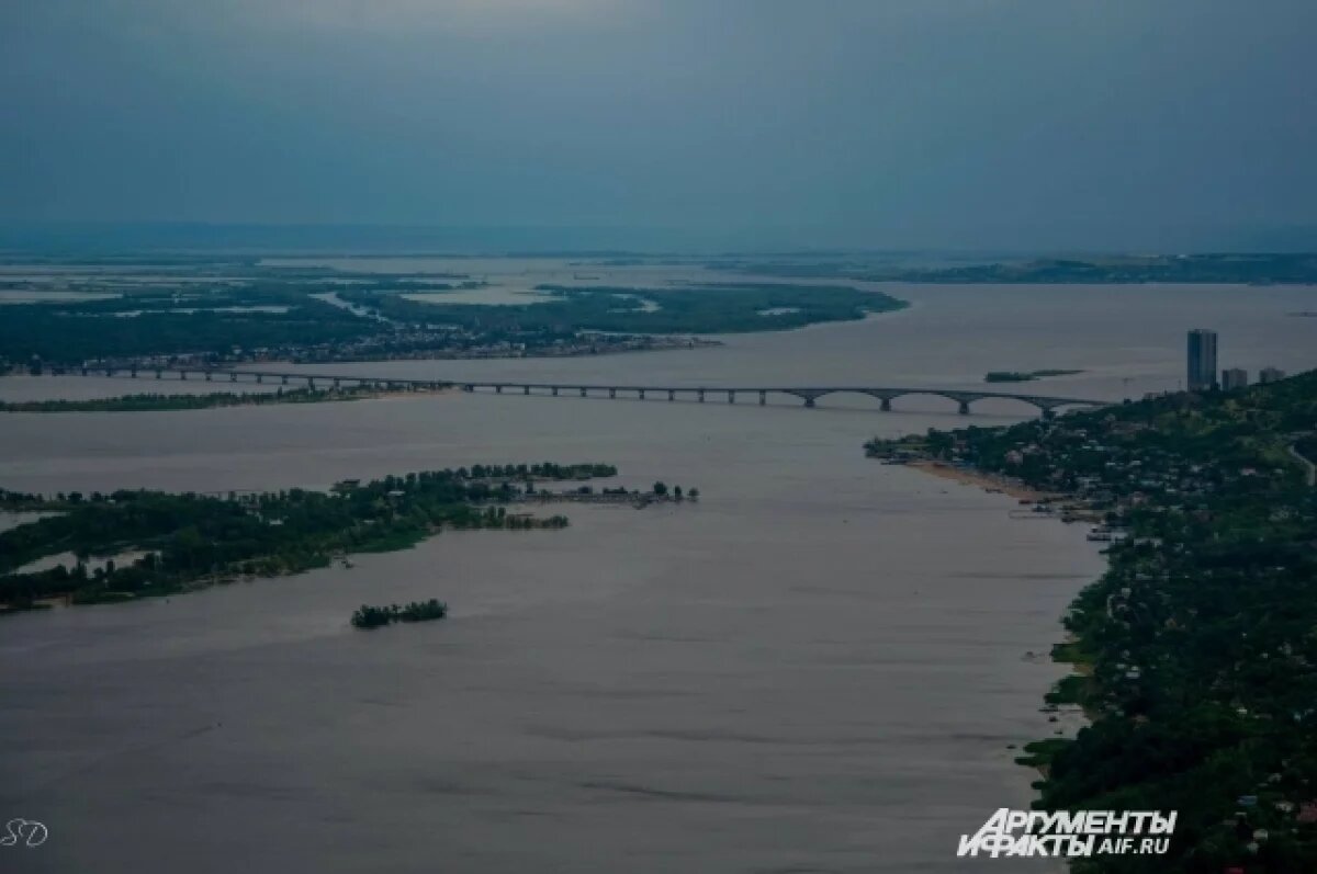    В Саратове пройдет 41 км заплыв по Волге: рассказал экс-полицейский