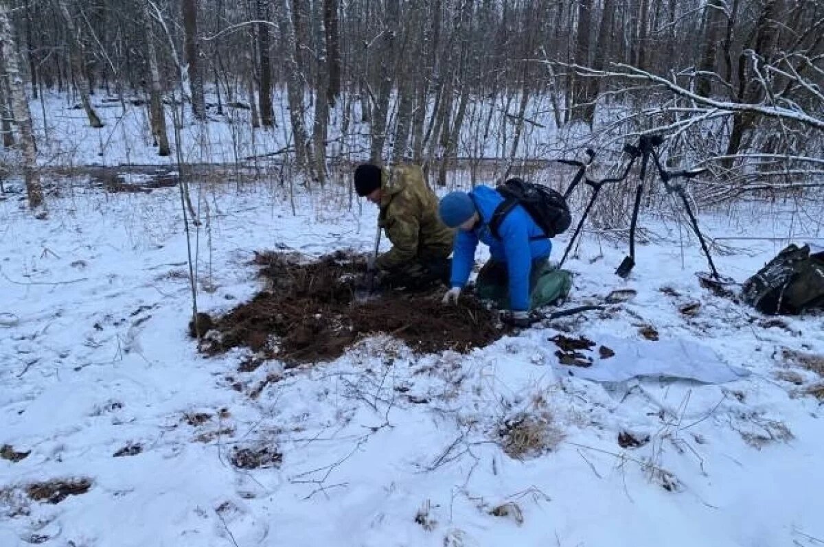    В Тверской области поисковики нашли на краю поля останки солдата