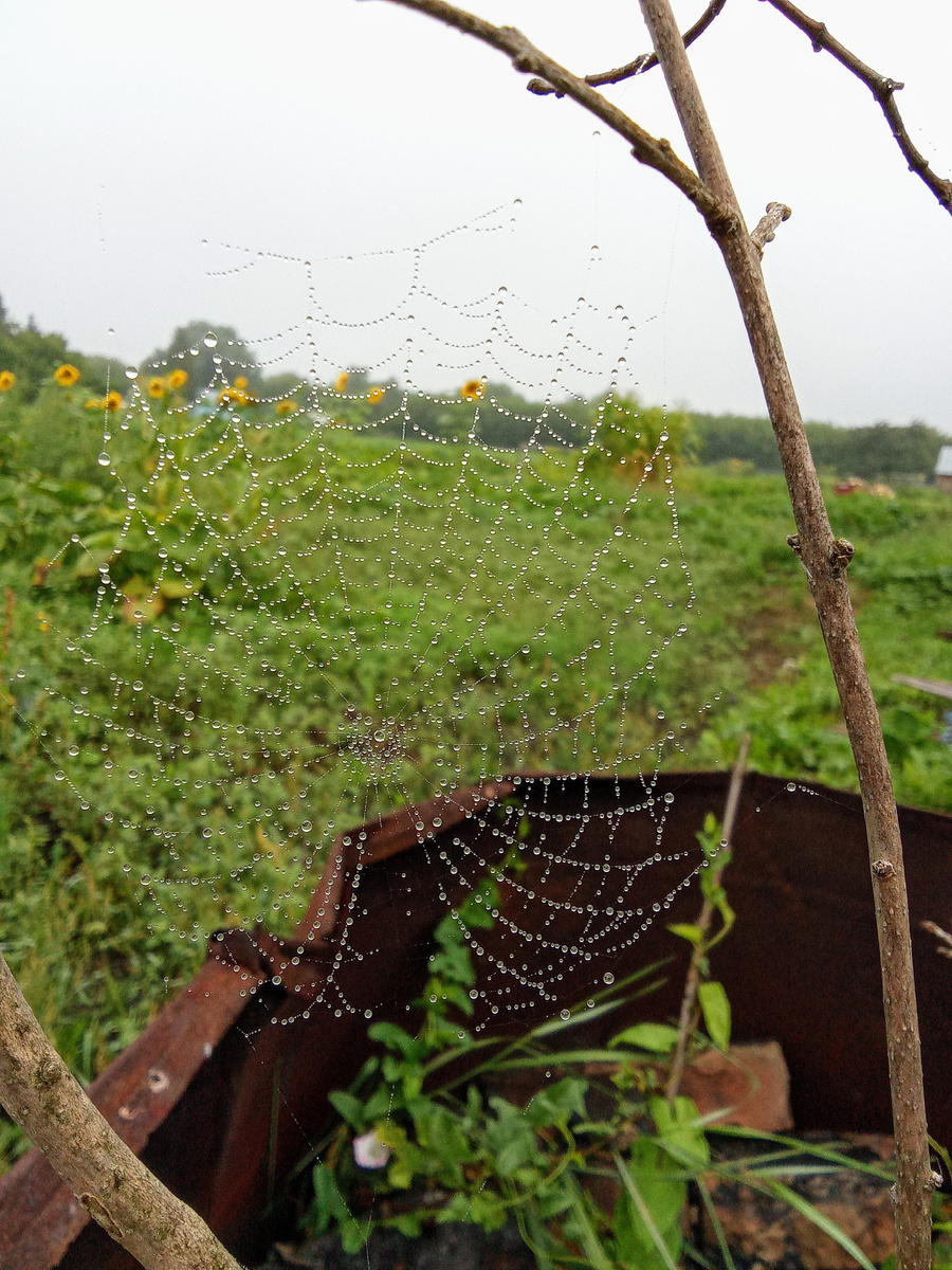 Природная красота!!