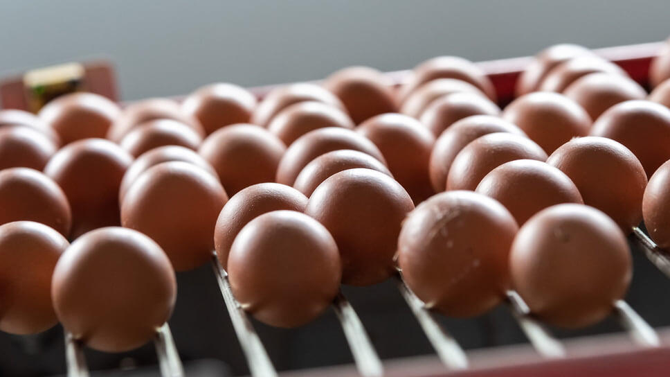 Фото: Игорь Елисеев / Коммерсантъ