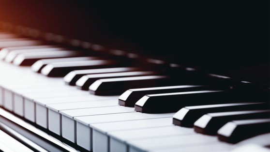    Концерт, посвященный дню рождения Святослава Рихтера и Ирины Антоновой, пройдет 20 марта в Пушкинском музее ©PHOTOCREO Michal Bednarek / Shutterstock / Fotodom