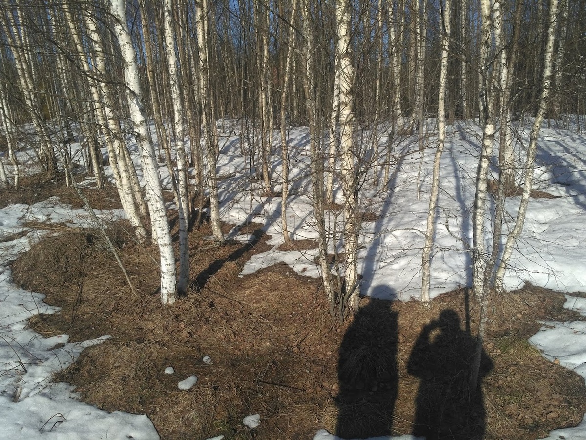 Это наш участок, который мы выбрали для себя